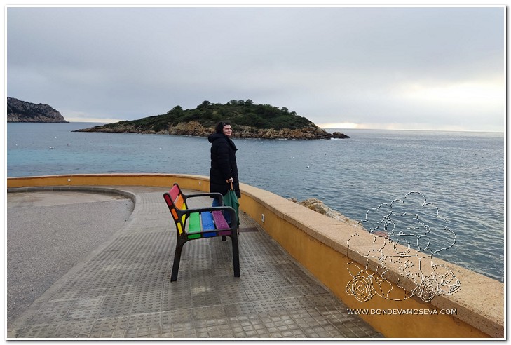 Vista del Puerto de Andratx con barcos y casas junto al mar