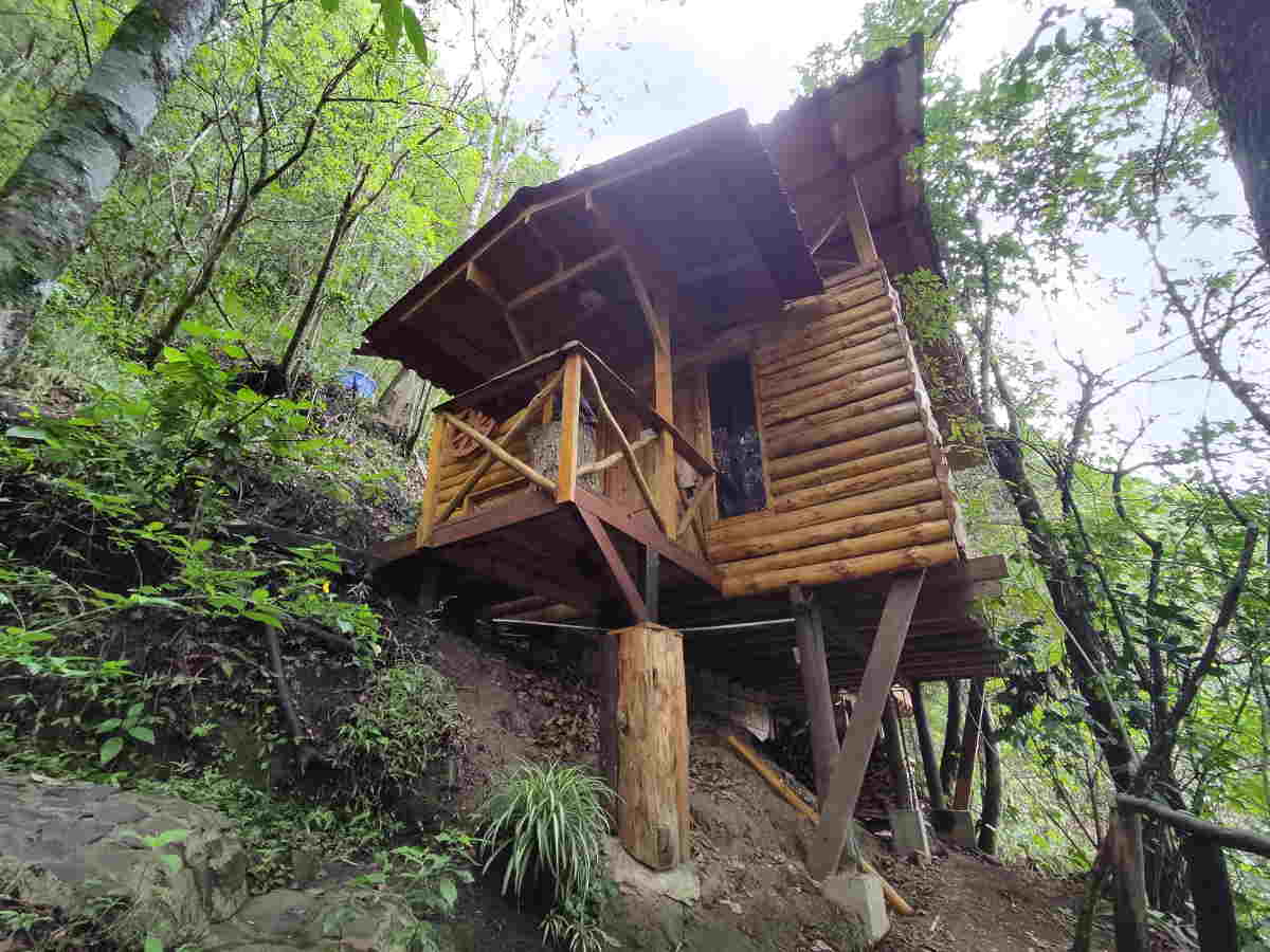 Cabañas Jazmín de la Noche en Consacá rodeadas de bosque nativo y cafetales
