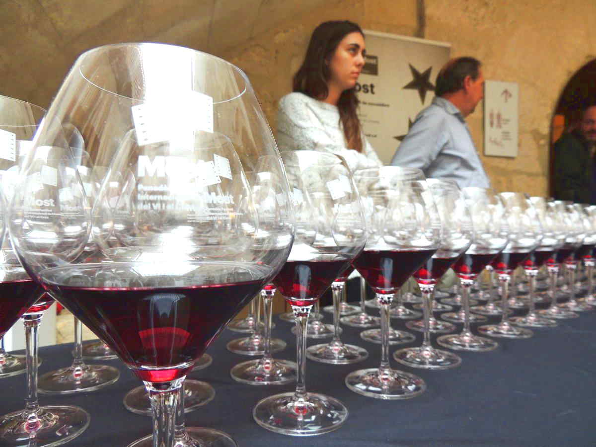 Cata de vinos en VINSEUM durante el Most Festival del Penedès