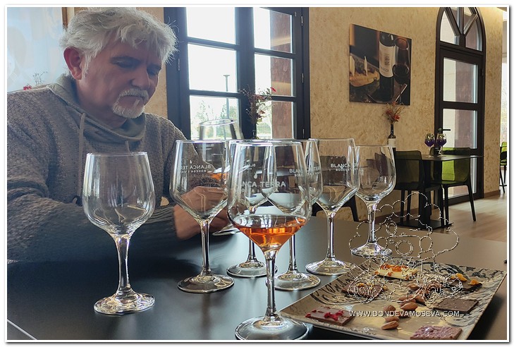 Bodega Blanca Terra en Mallorca con viñedos mallorquines