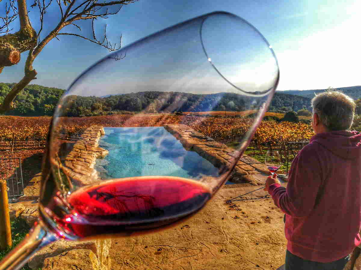 ruta del vino en Penedès, Barcelona, el enoturismo como tendencia de viajes
