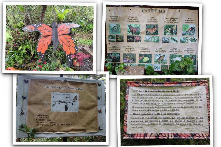 Mariposario natural en Cabañas Jazmín de la Noche