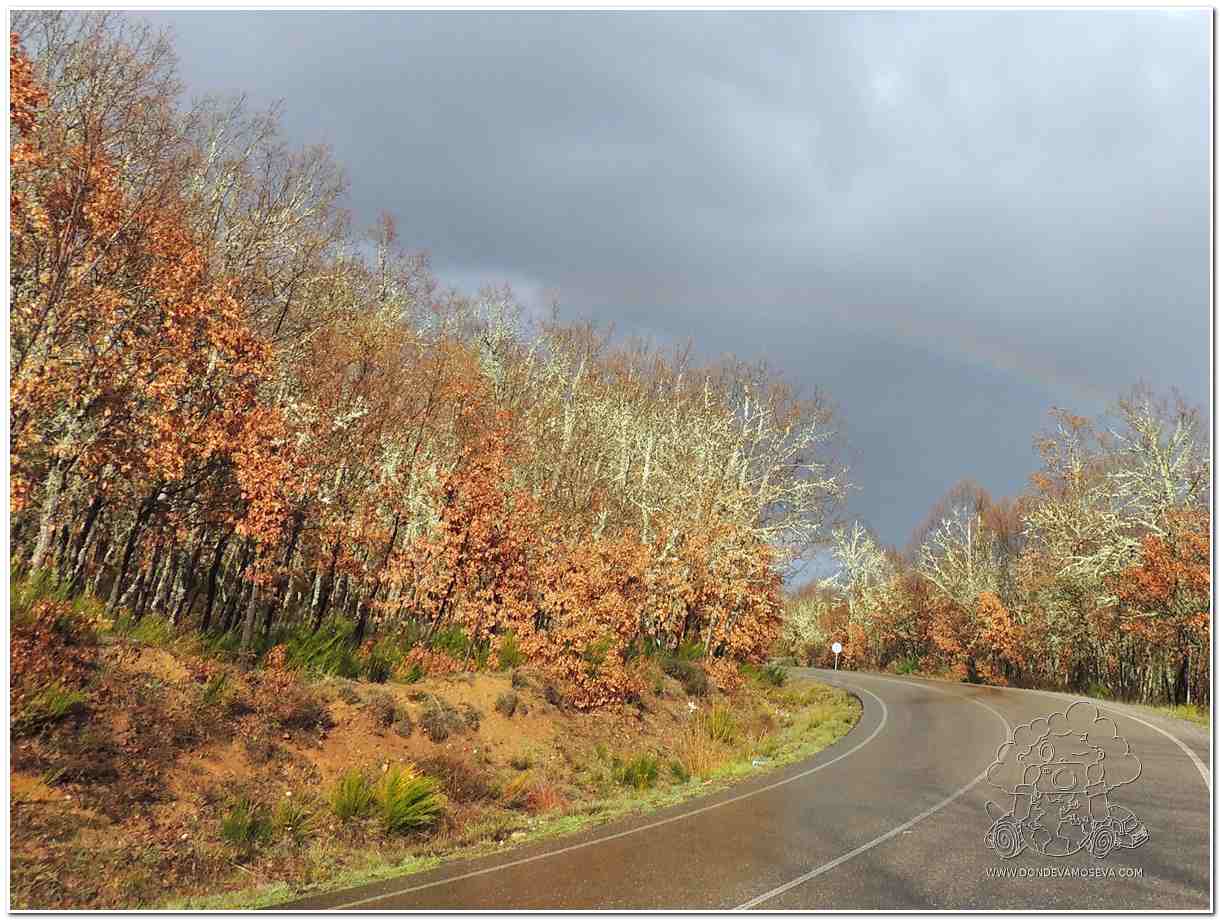 Carretera otoñal en Sanabria bajo un arcoíris
