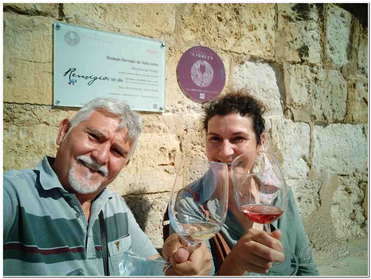 Ruta del vino DO Cigales, el enoturismo como tendencia de Viajes