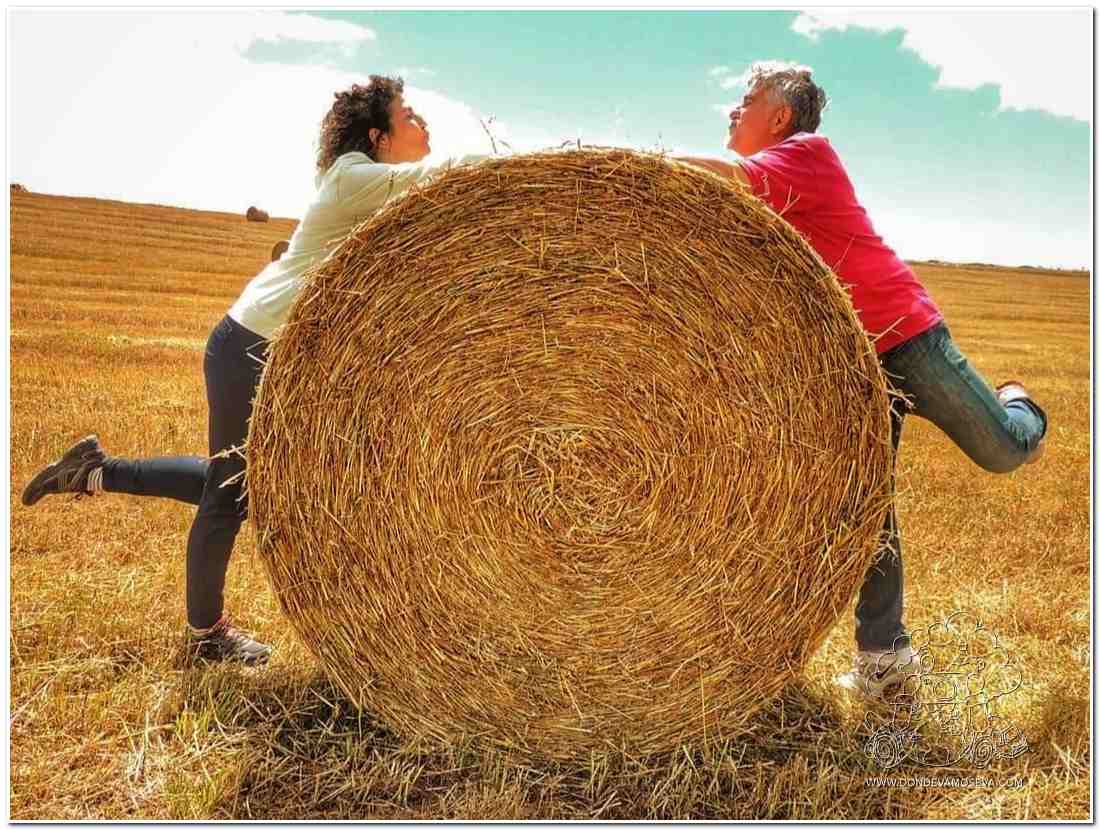 Tierra de Campos, una de las zonas con mayor despoblación de la España Vaciada