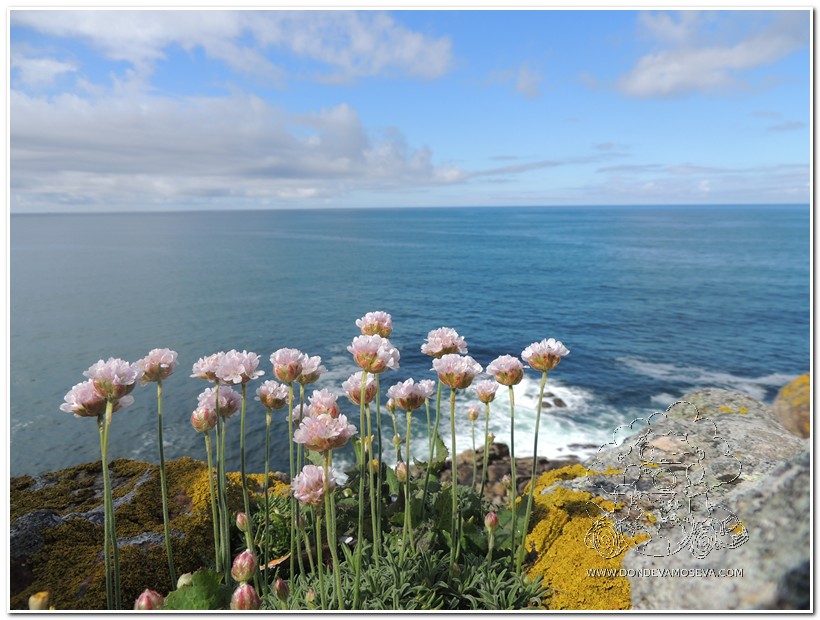 La costa del Atlántico, compañera inseparable del Camino de Santiago entre Oporto y AGuarda