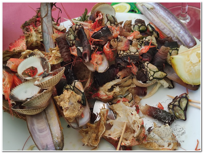 Platos de mariscos típicos de la costa atlántica en el Camino Portugués