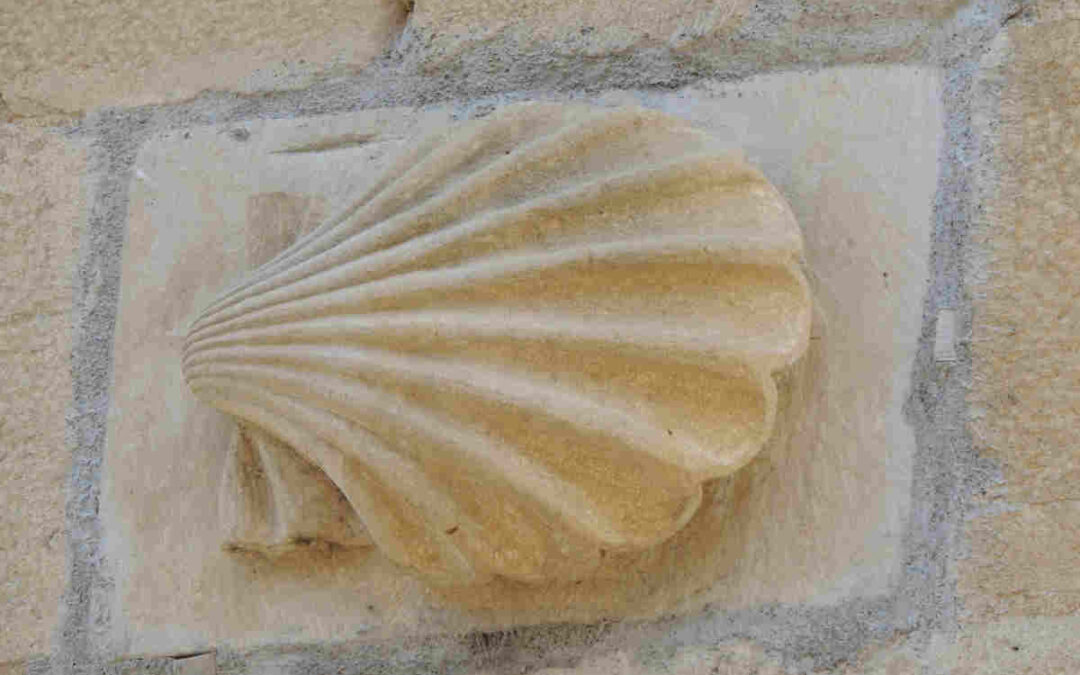 Camino de Santiago Portugués por la Costa en 4 etapas