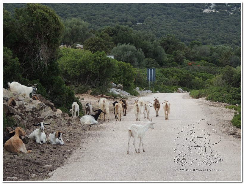 Carreteras secundarias hacia Cala Gonone en la provincia de Nuoro Cerdeña