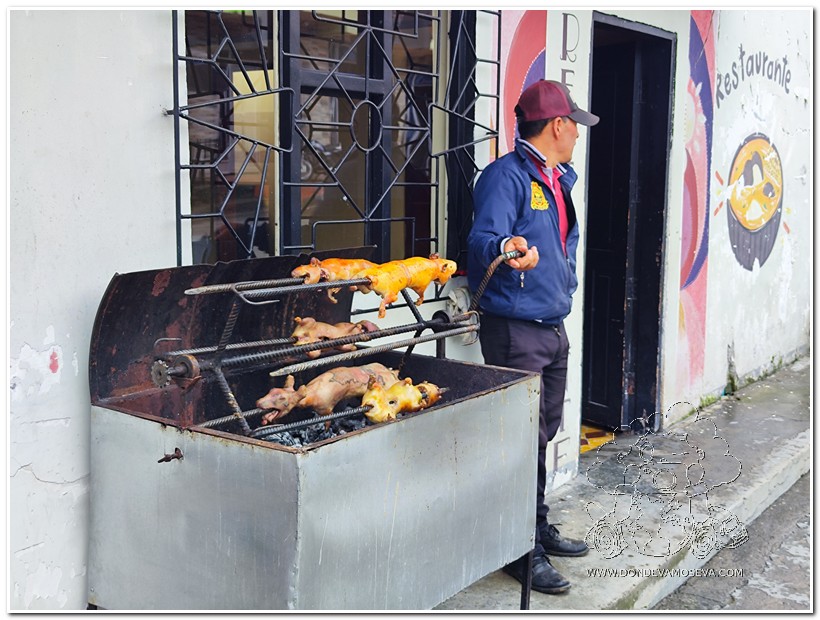 El cuy es una de las joyas de gastronómicas de San Juan de Pasto