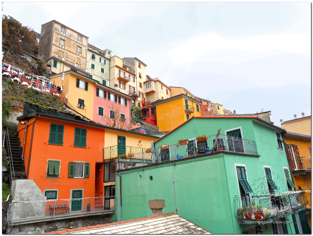 Conglomerado de casas de la Marina de Manarola 