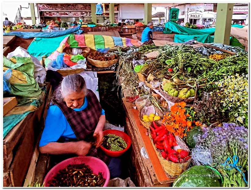 Mercado de Dos Puentes, perfecto para comprar y degustar la gastronomía de Pasto