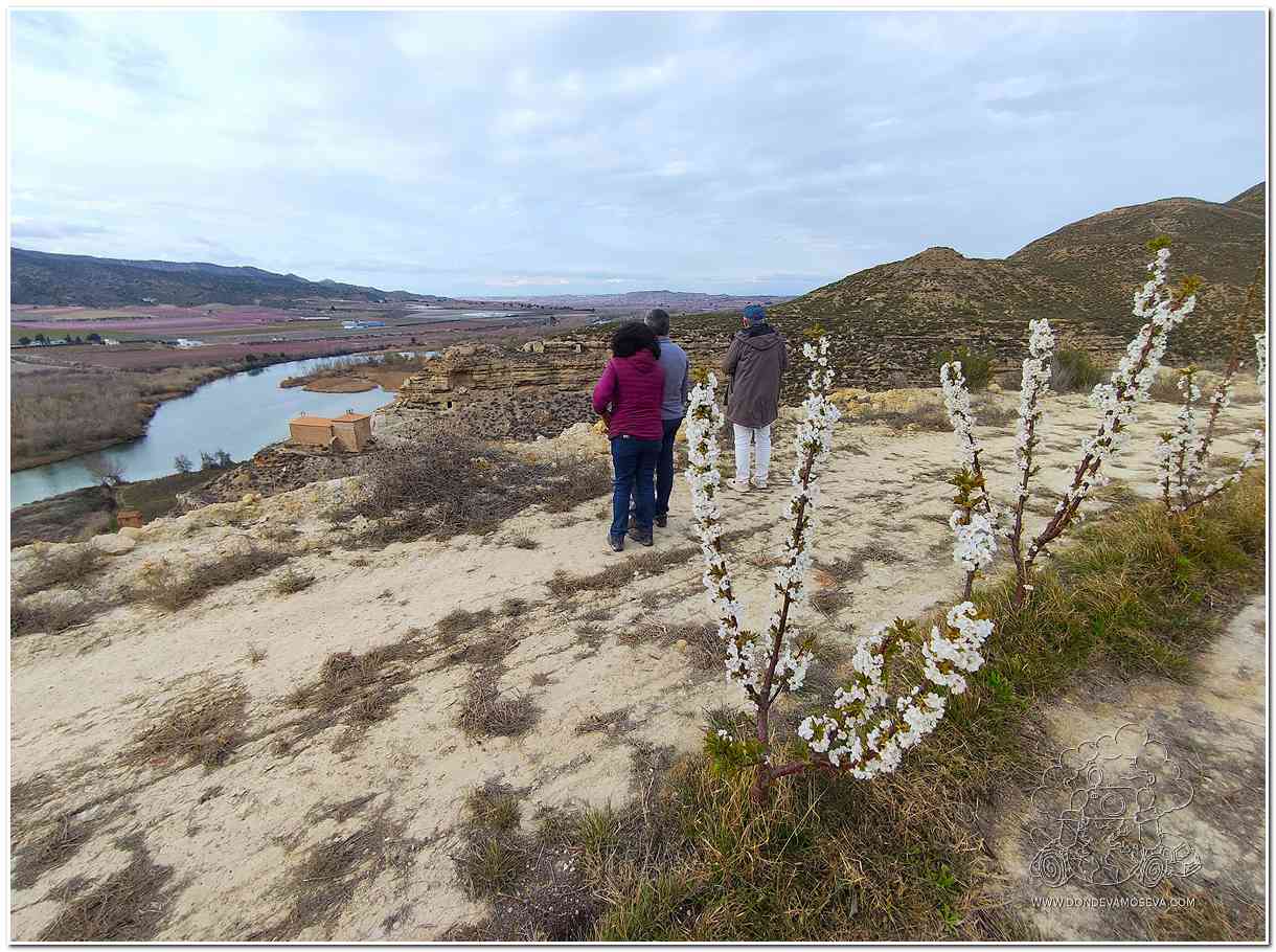 Explorar elpaisaje del sur de Lleida durante la floración