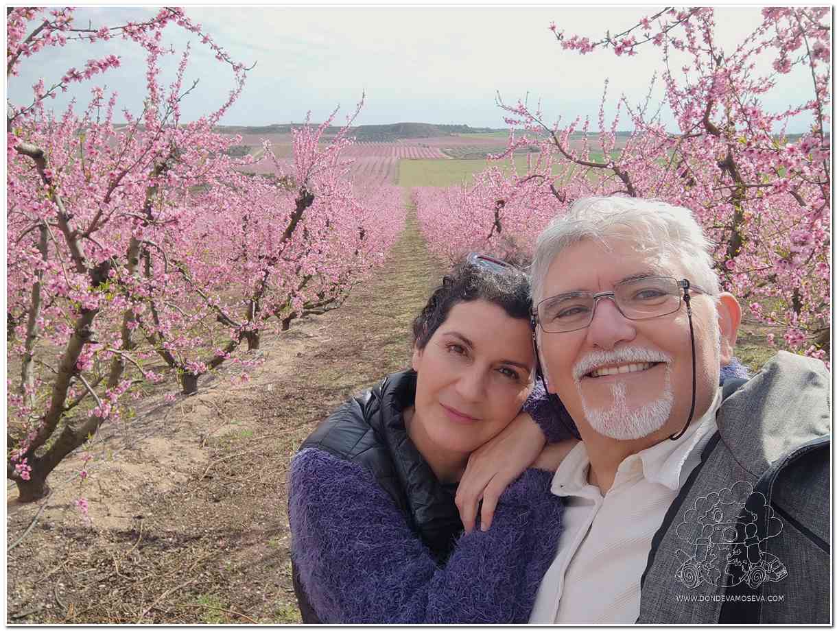 turista en campos en flor Aitona fruiturisme