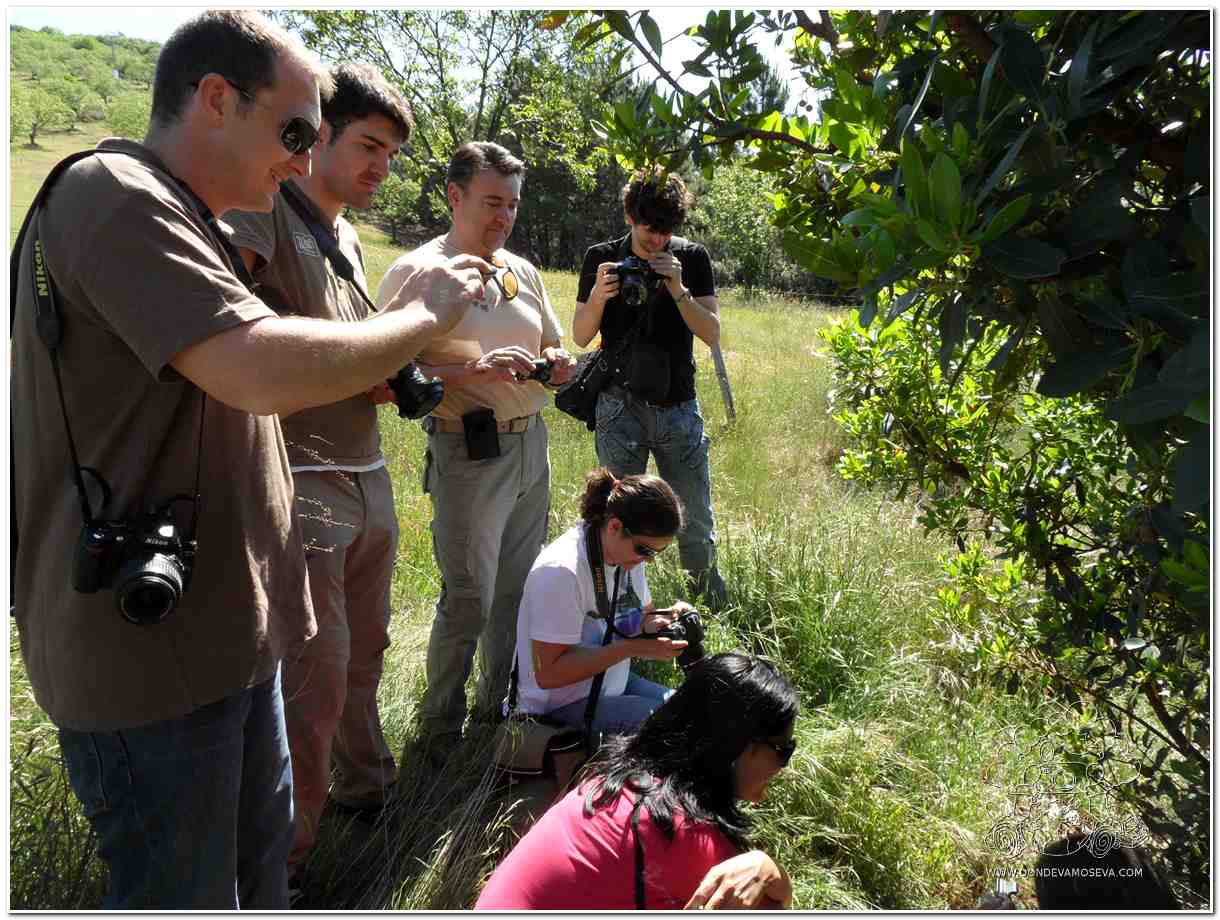 Grupo realizando geocaching en los alrededores de Guadalupe