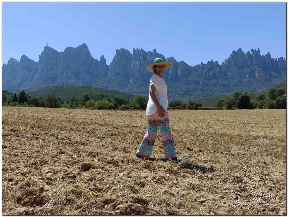 Campos de cereales en el Geoparque de la Cataluña Central