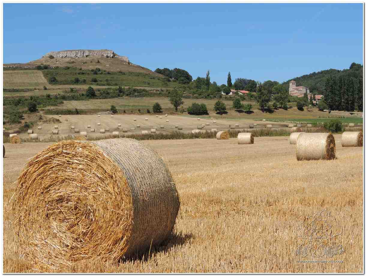 Paisaje rural en la ruta del Geoparque de Las Loras Hoyo de Tozo Burgos