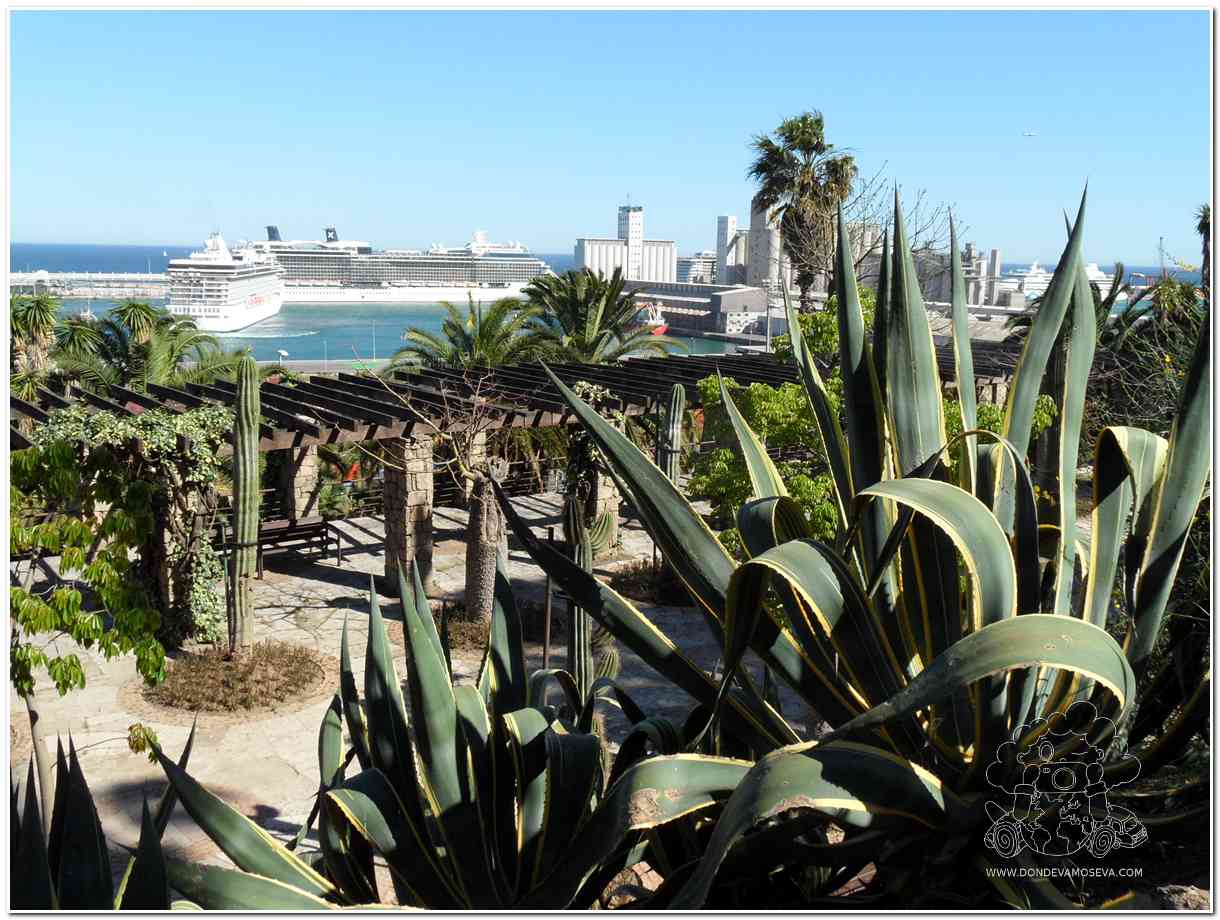 jardines de mossen costa i llobera con cactus en montjuic planes relajantes en barcelona