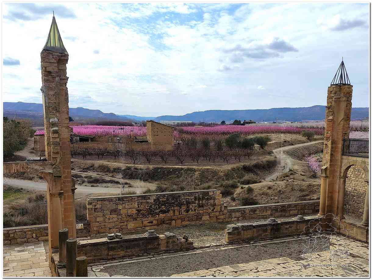 monasterio de Avinganya rodeado de campos en flor Lleida
