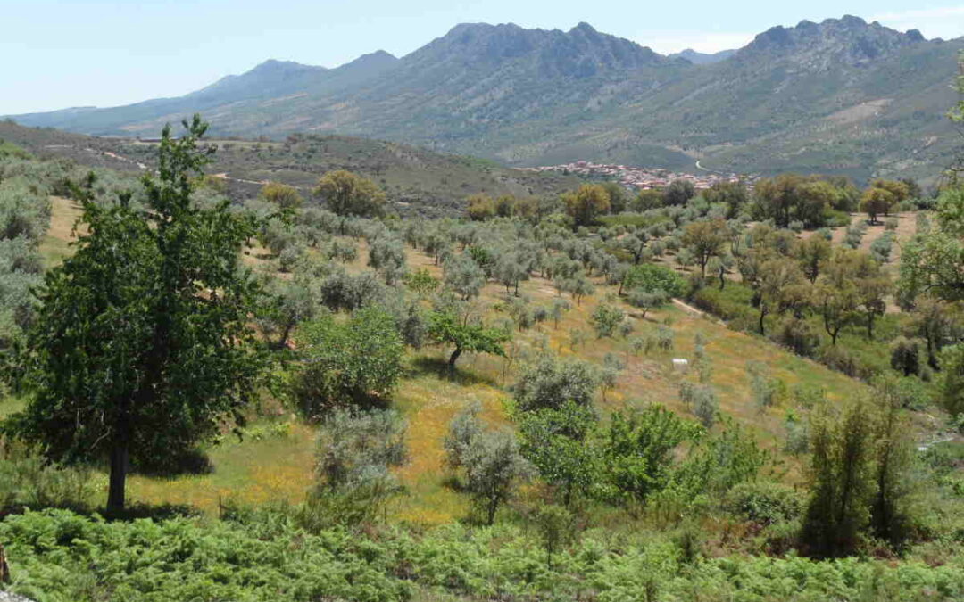 Qué ver en el Geoparque Villuercas Ibores Jara (Cáceres)