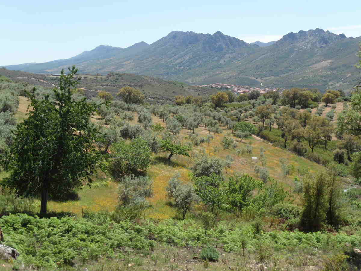 Panorámica del Geoparque Villuercas Ibores Jara en la provincia de Cáceres