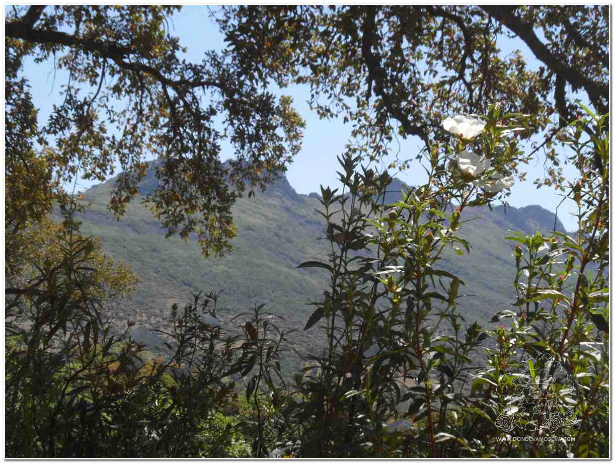 Paisaje montañoso del Geoparque Villuercas Ibores Jara en Extremadura