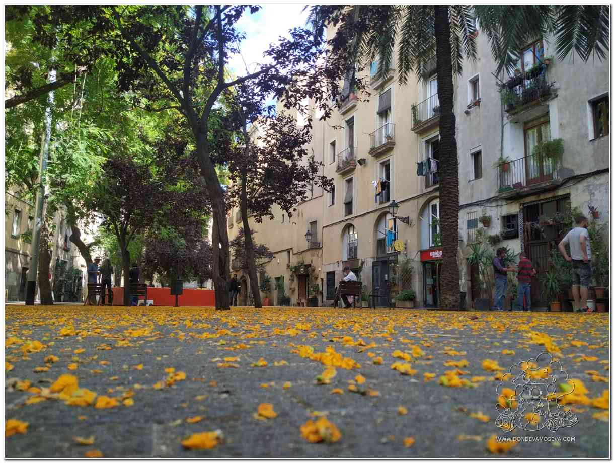 plaza tranquila de barcelona al atardecer