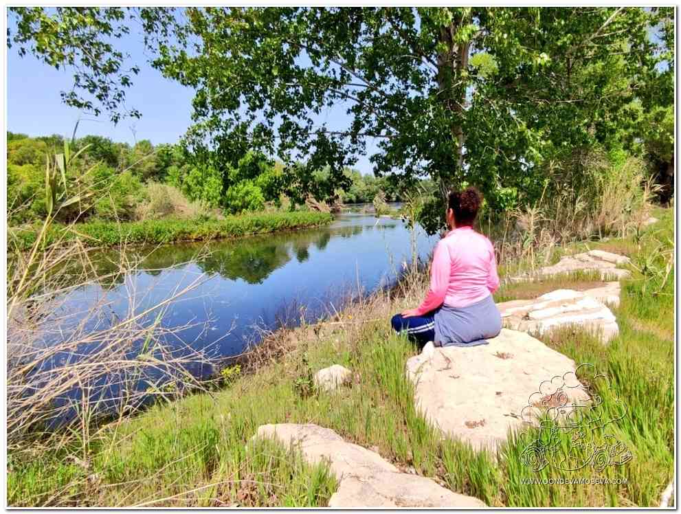 paisaje del río Segre en Massalcoreig Lleida