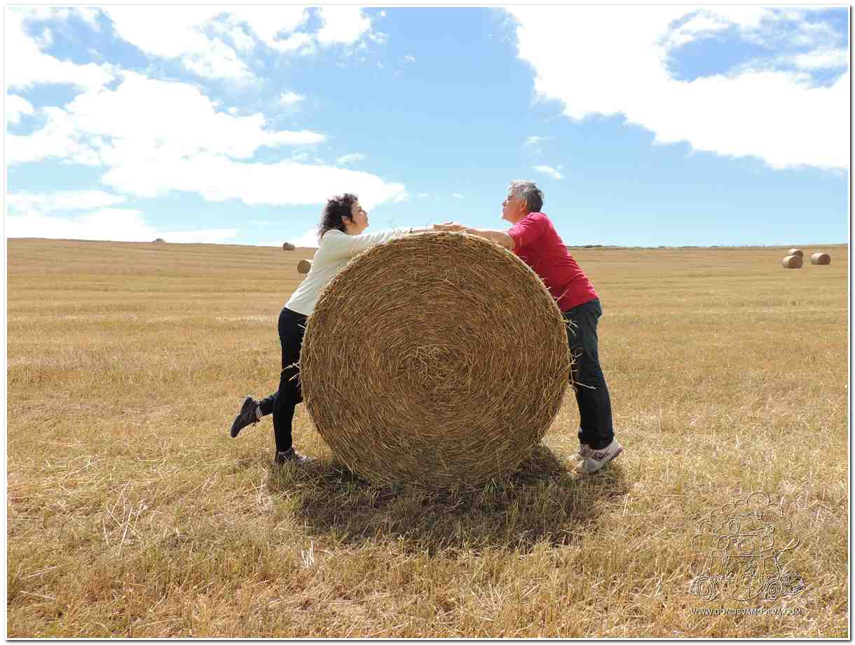 Campos de Castilla en la ruta de LAs Loras