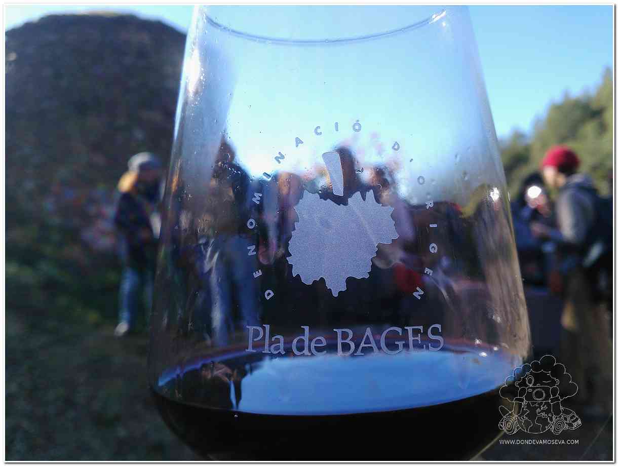 Copa de vino de la DO Pla de Bages en el Parc Natural de Sant Llorenç del Munt i L'Obac