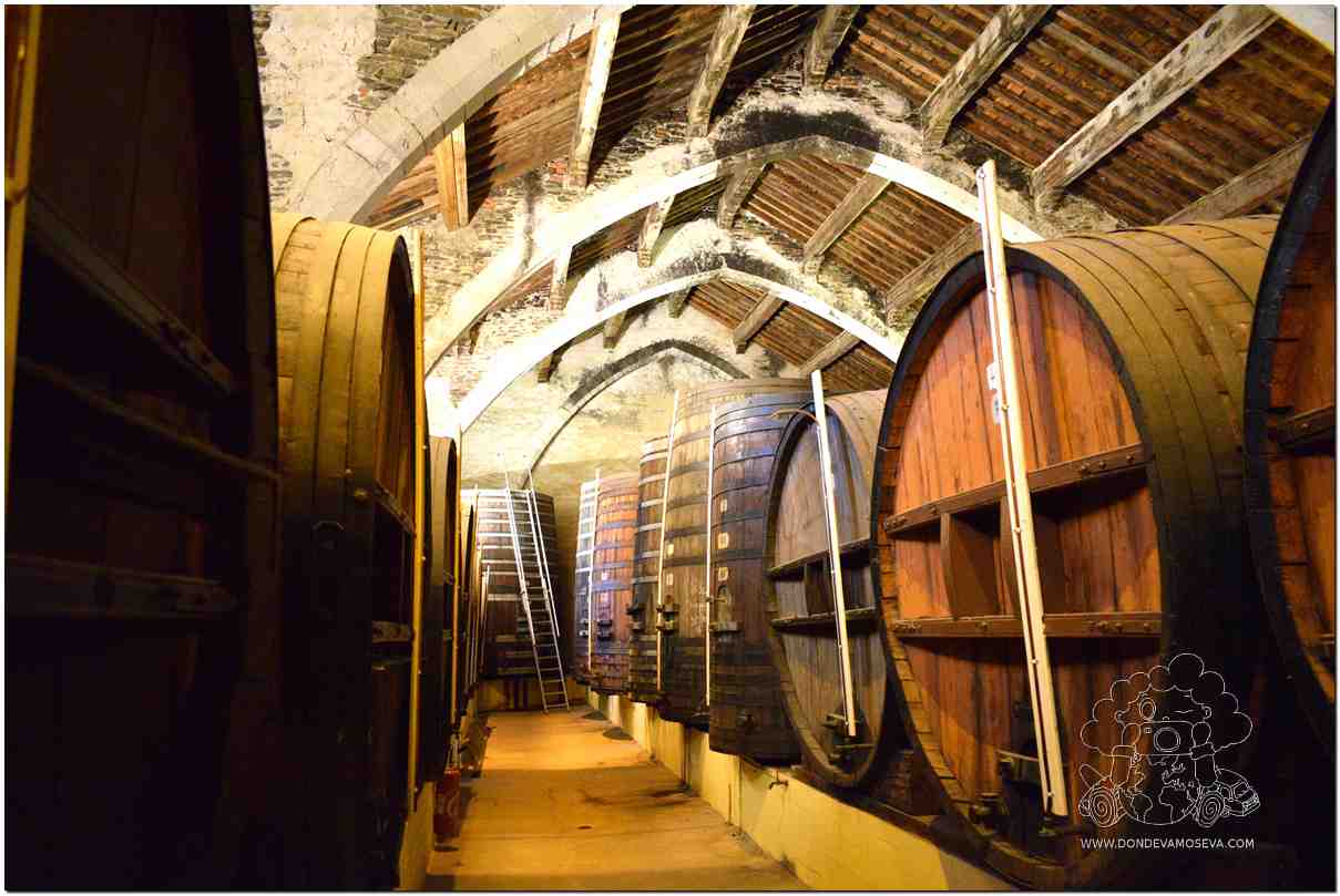 Interior del Cellier des Dominicains con arcos medievales
