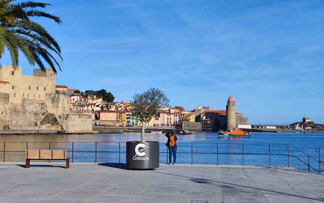 Qué ver en Collioure (Francia): 7 experiencias de arte, vino y Mediterráneo