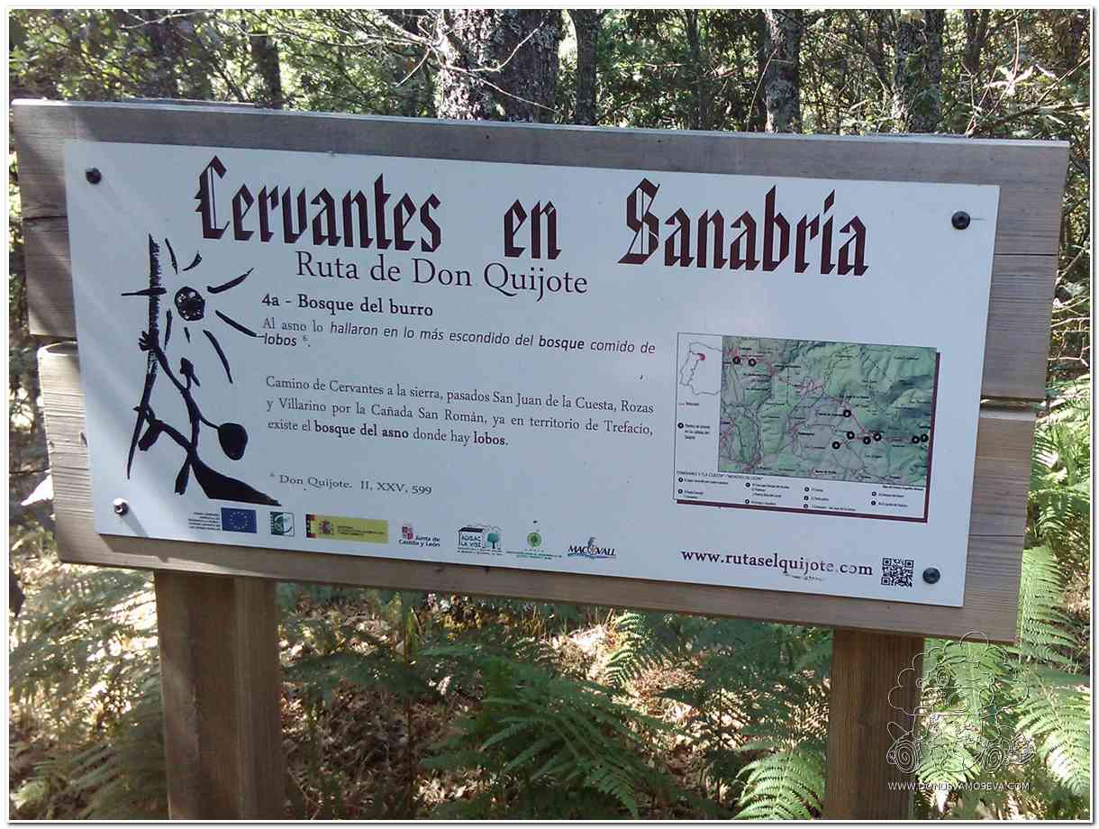 paisaje de la ruta de Cervantes en la comarca de Sanabria