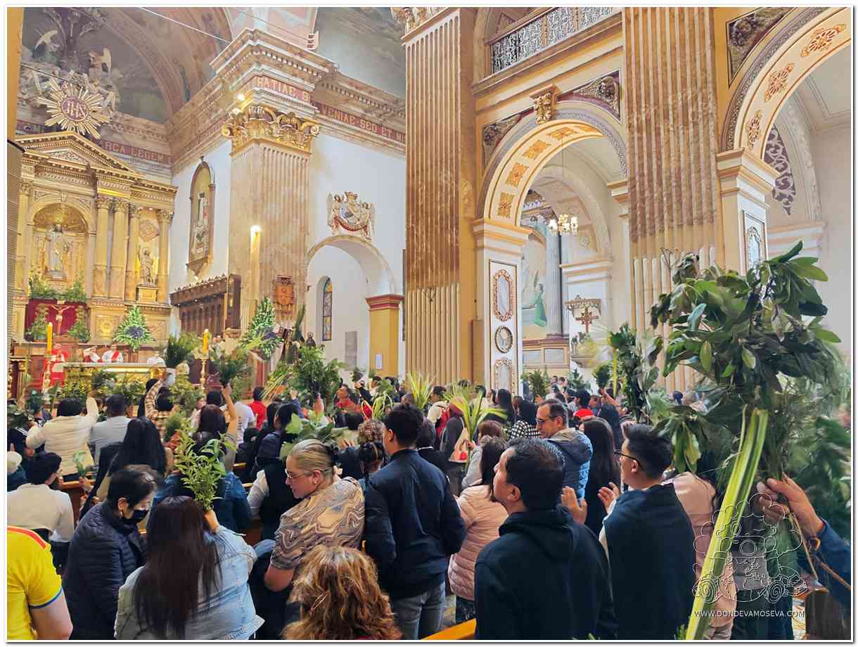 Celebración del Domingo de Ramos en la Catedral de Pasto