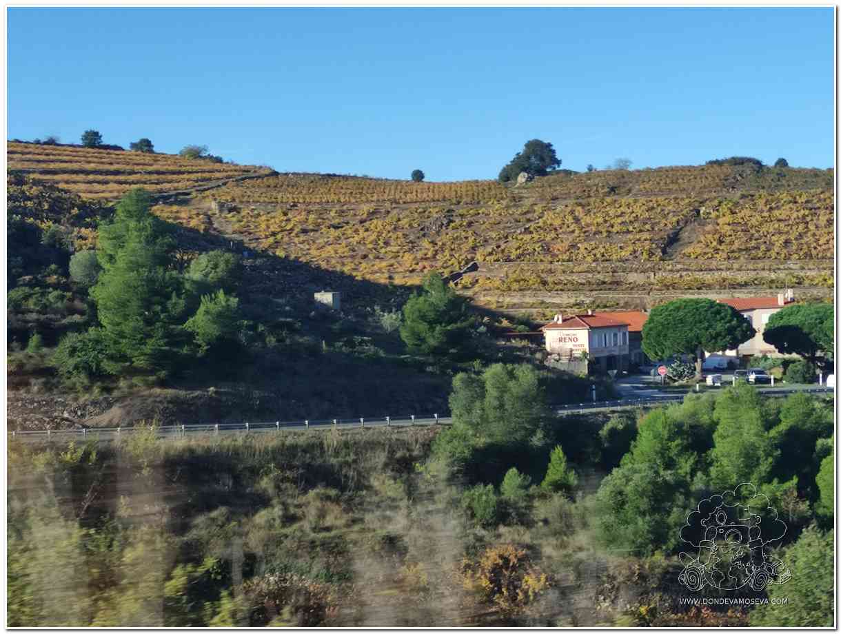 Carretera panorámica entre viñedos en la Côte Vermeille