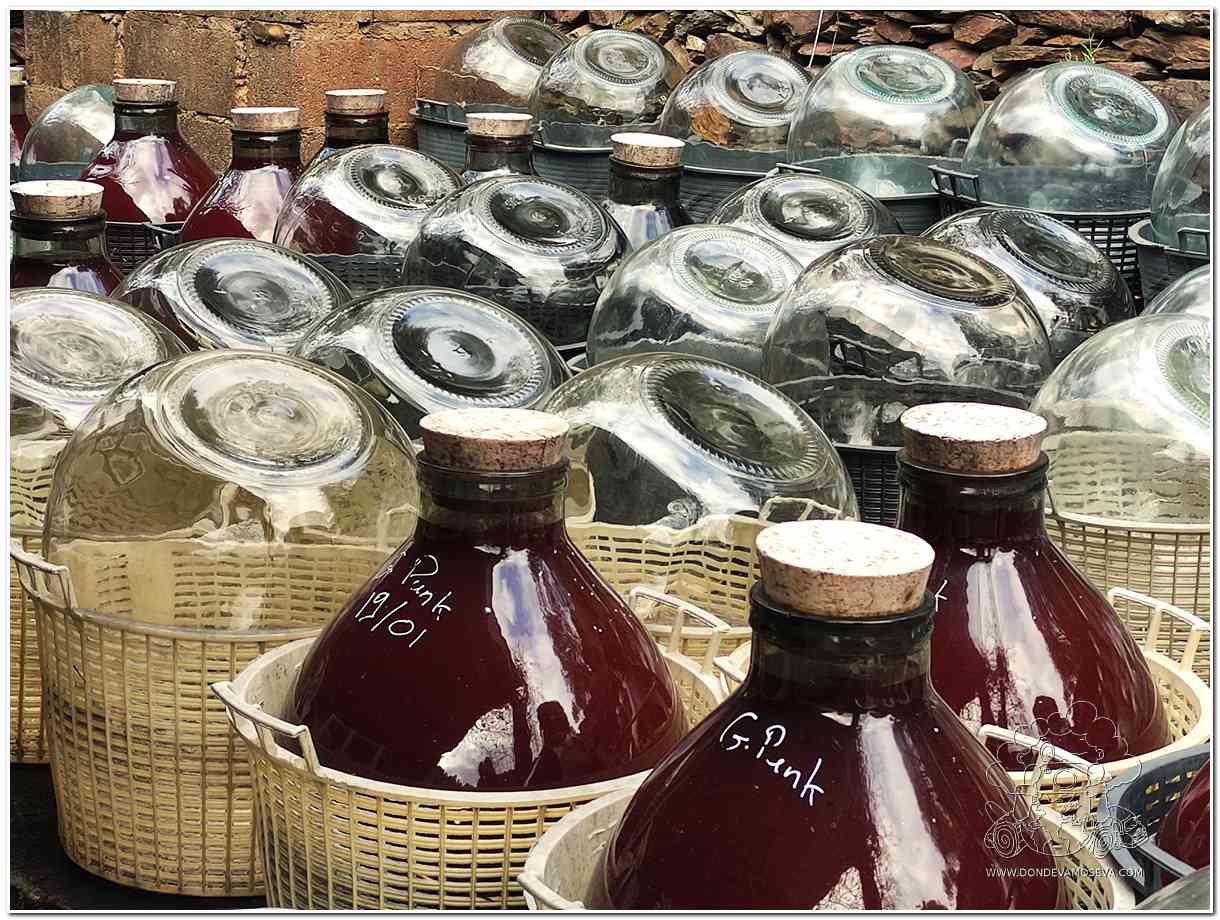 Damas juanas utilizadas para el envejecimiento del vino Banyuls