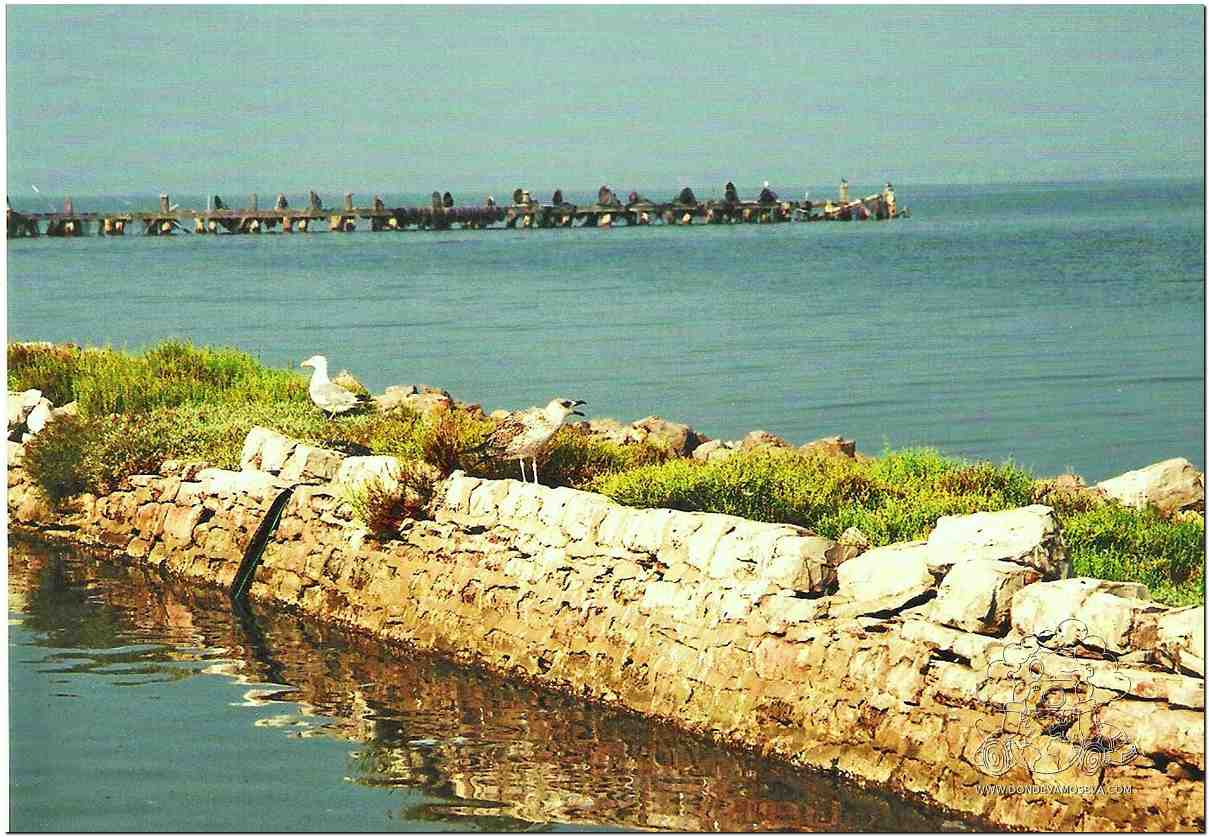El Canal du Rhône à Sète atravesando las lagunas de la Camarga francesa