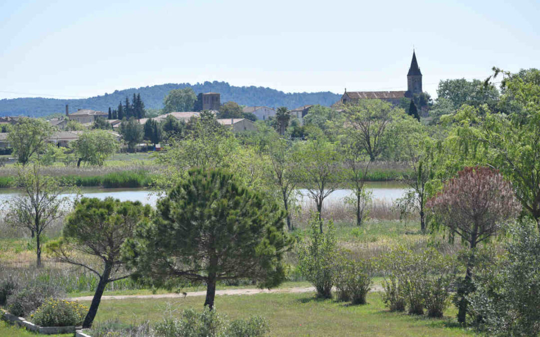Qué ver en Homps, viñedos, historia y el Canal de Midi