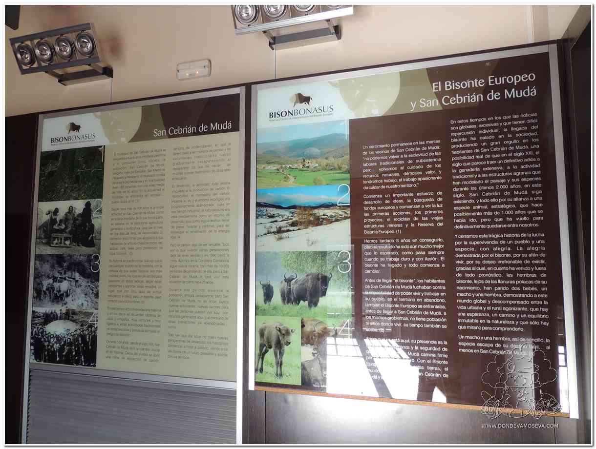 Reserva del Bisonte Europeo de San Cebrián de Mudá