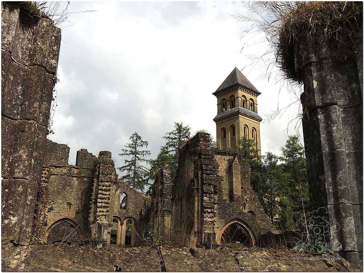 Ruinas de la Abadía de Orval, uno de los monasterios más emblemáticos de Valonia y un imprescindible que ver en Bélgica